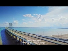 AC220V 50Hz ওজন ইন মোশন সিস্টেম IP68 ওভারওয়েট সনাক্তকরণ